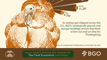 Visual Capitalist: U.S. States Producing the Most Turkeys in 2024